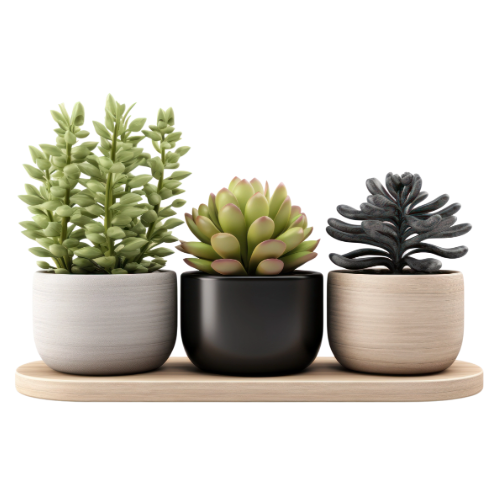 Trio Succulent Planter Set