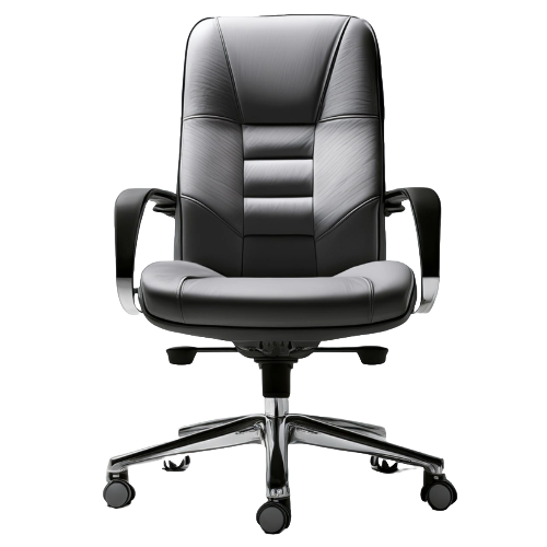 Ergonomic Executive Office Chair